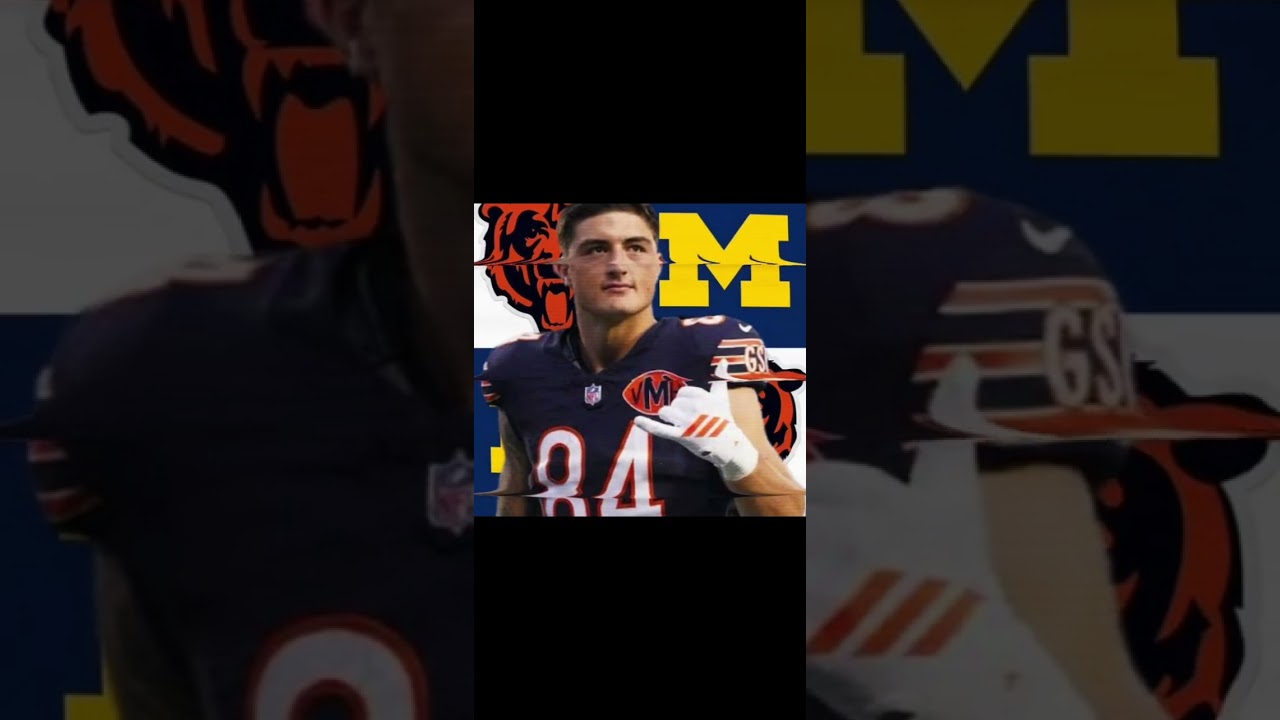2025 Chicago bears edits