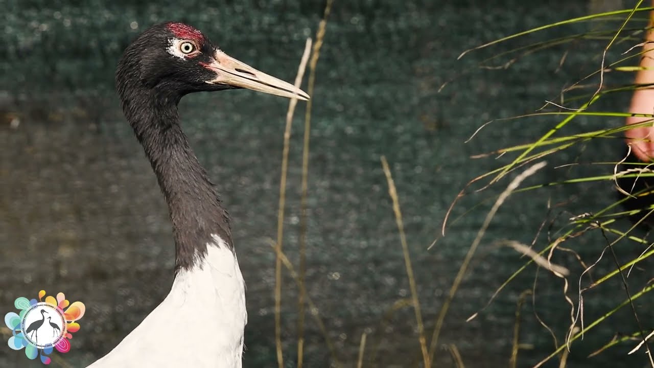 SPOZNAJTE DRUŽINO HORVAT