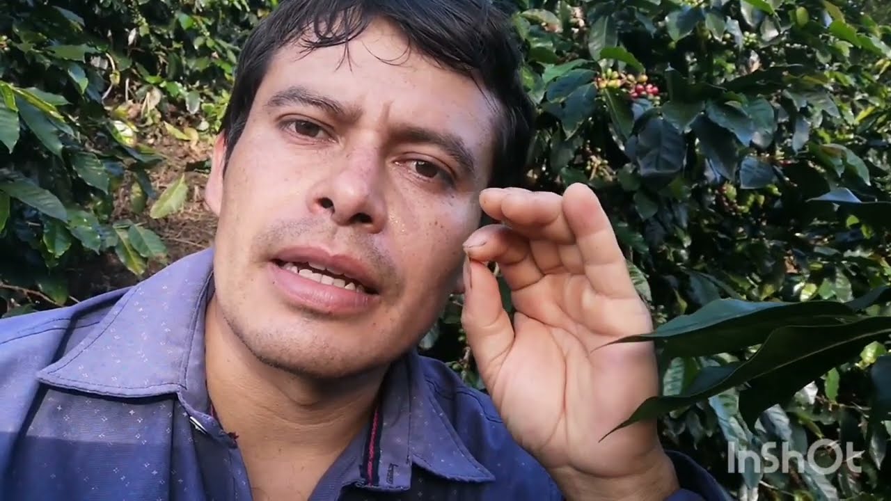 consejos  para los que desean comprar finca, por primera vez