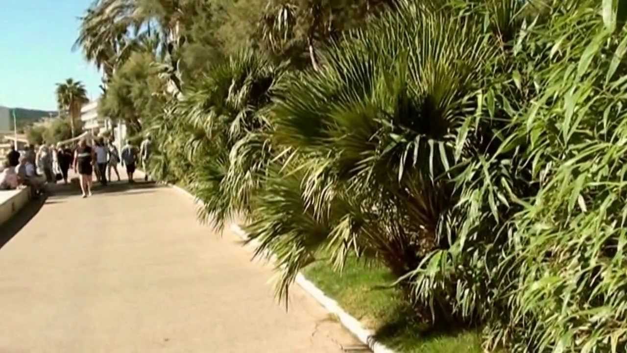 LE LAVANDOU balades dans la station et au bord de mer