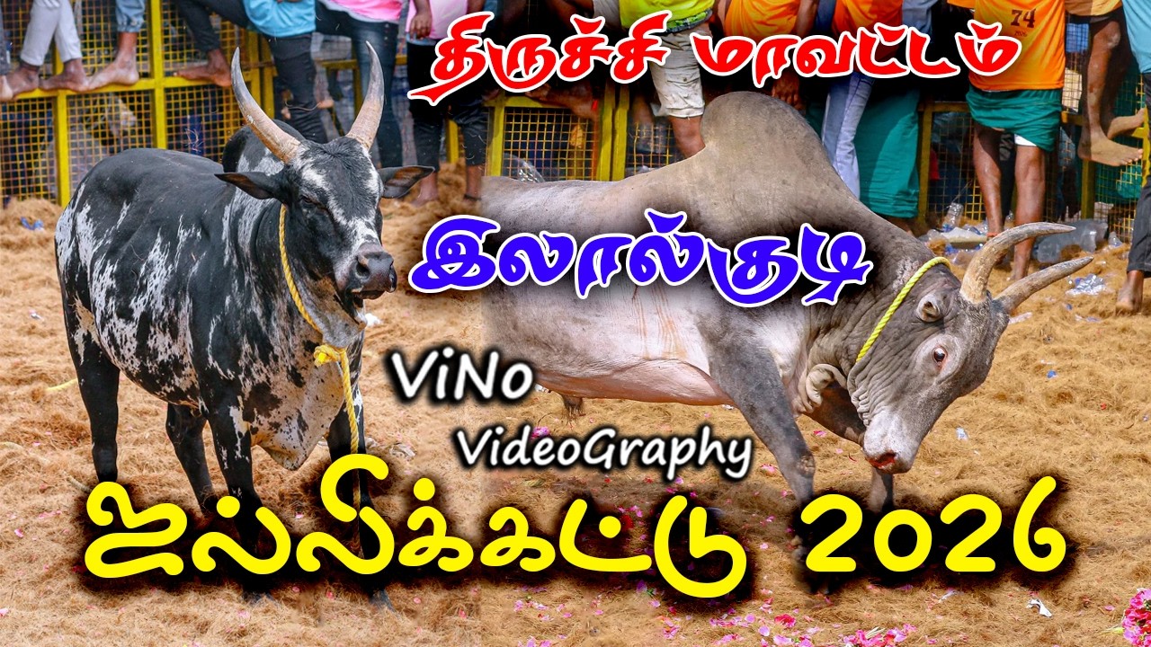 🔴🔴திருச்சி இலால்குடி ஜல்லிக்கட்டு 2026  |  Trichy Lalkudi Jallikkattu 2026 | ViNo Videography Live