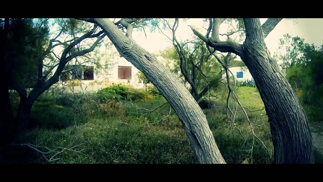 Paros germanika