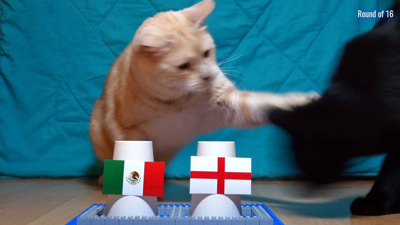 Mexico Vs England - Cats World Cup 2026 Prediction
