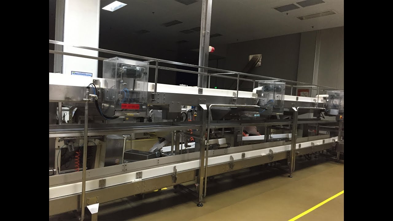 candy conveyor, conveyor for transporting candy,candy Conveyor feeder
