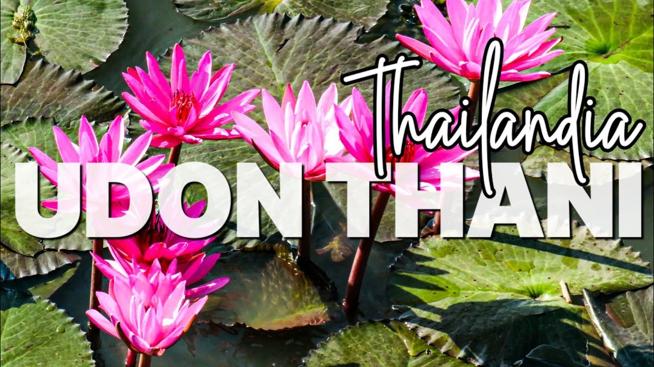 UDON THANI e il RED LOTUS LAKE 🪷