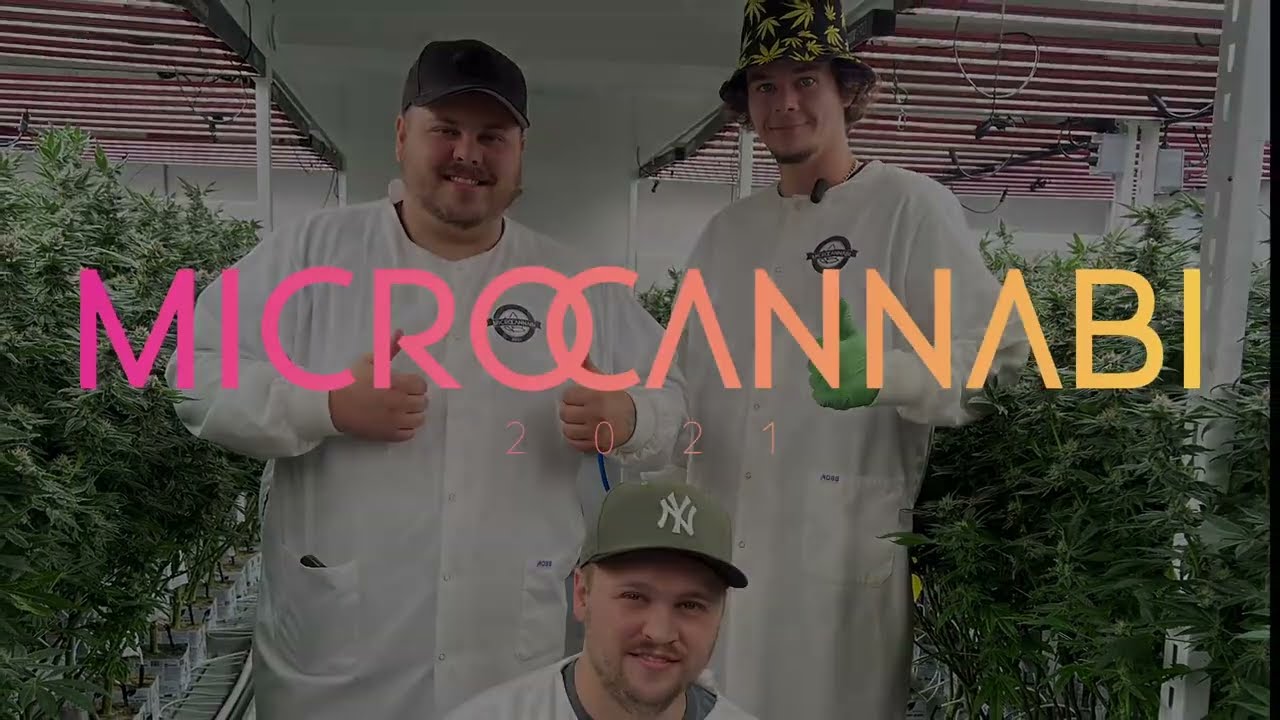 MicroCannabi Garden Tour