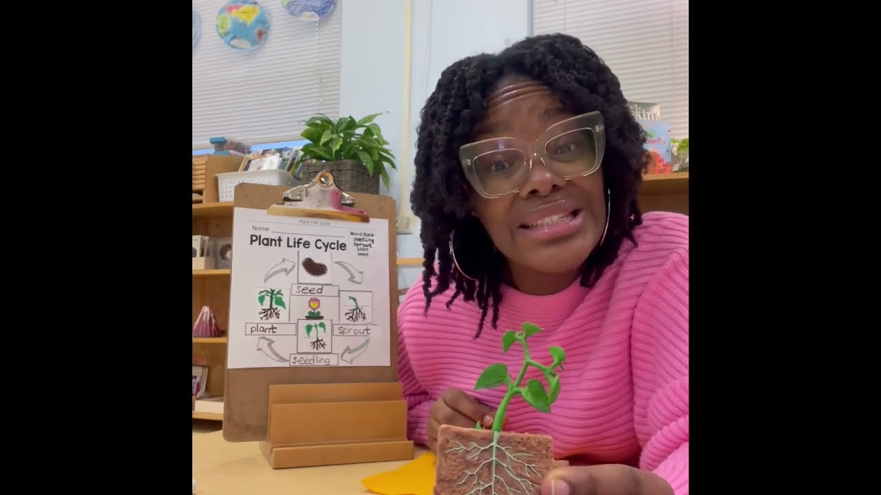 Montessori Education Week - The Life Cycle of a Plant