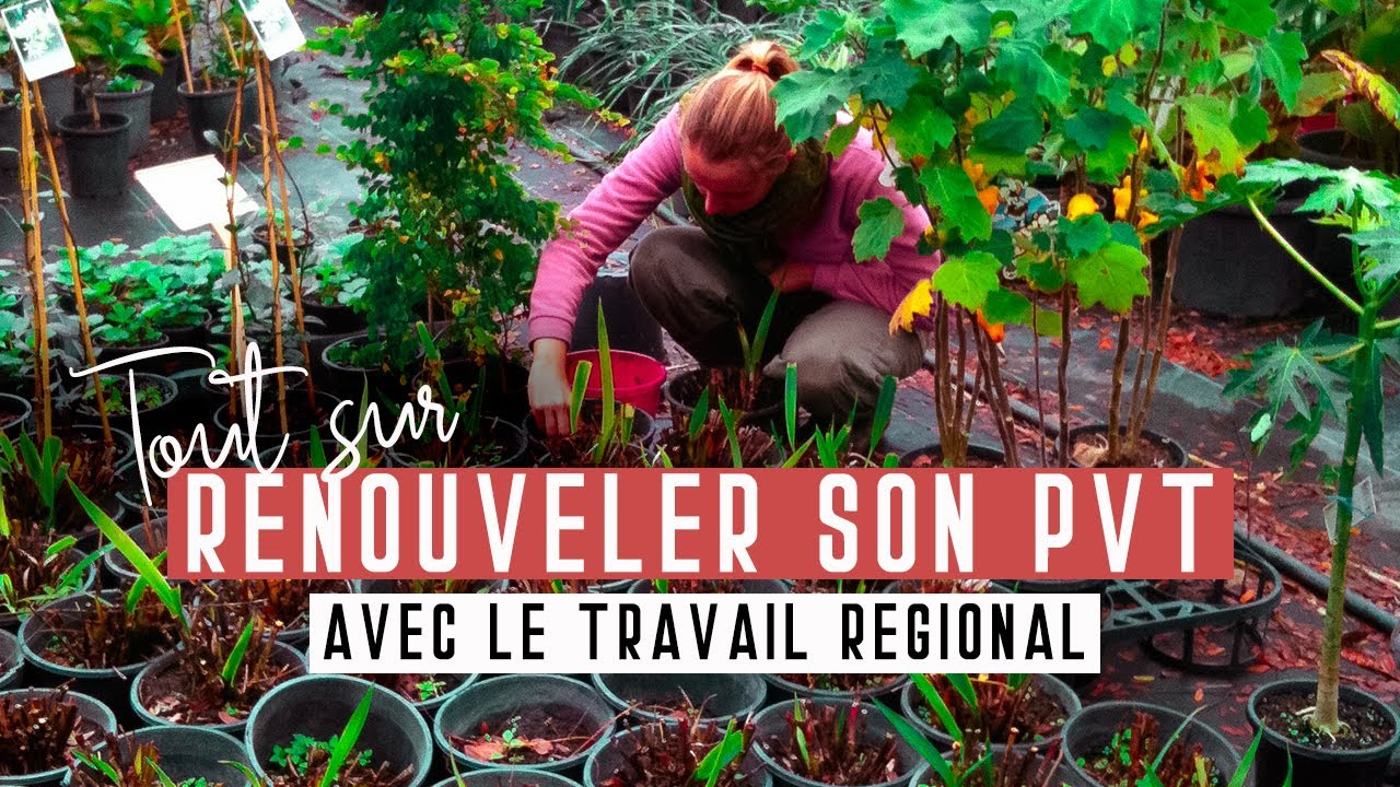 Australie » Le travail regional pour renouveler son WHV + trouver un emploi & éviter les arnaques