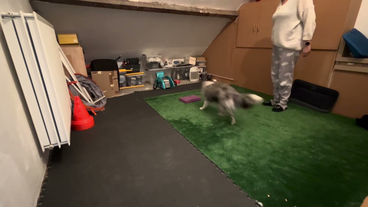 Bowie wip training 27 jan