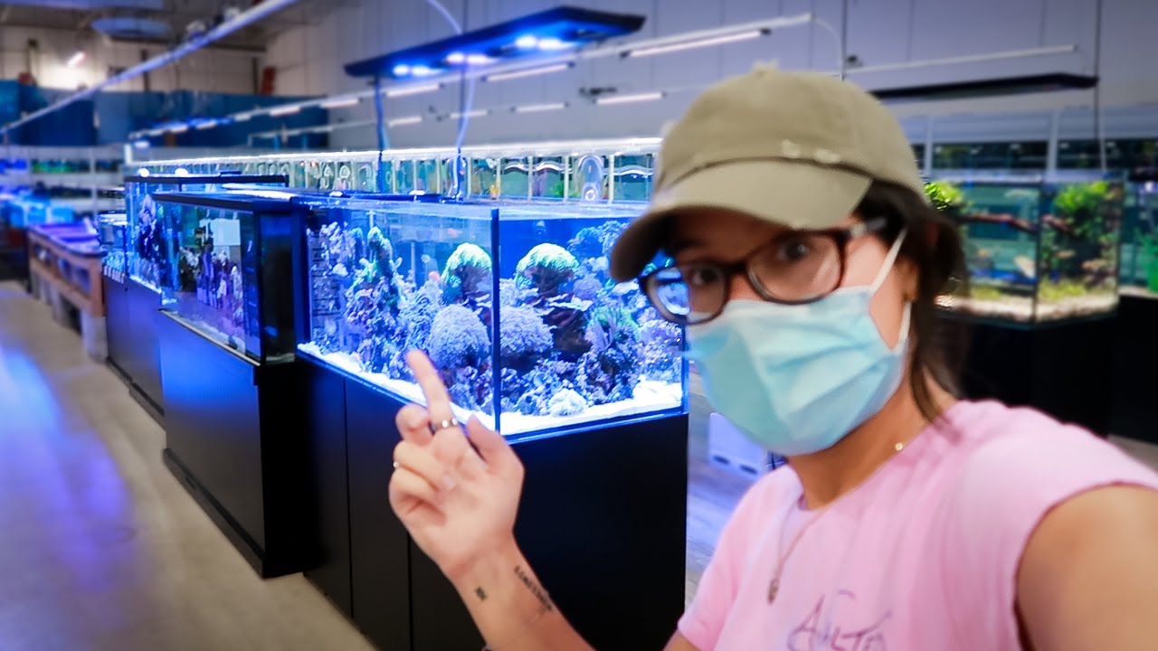 Local Fish Store Tour!