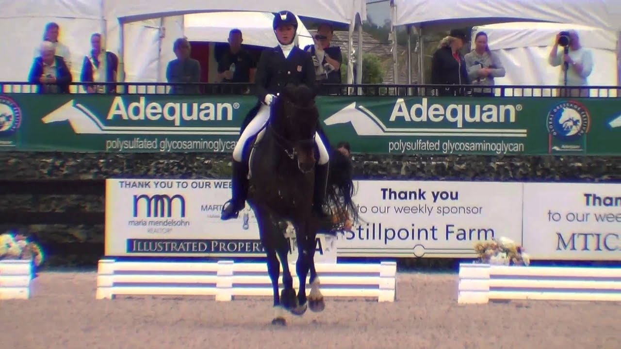 Adrienne Lyle and Wizard Win FEI Grand Prix CDI 5* pres. by Diamante Farms at 2014 AGDF