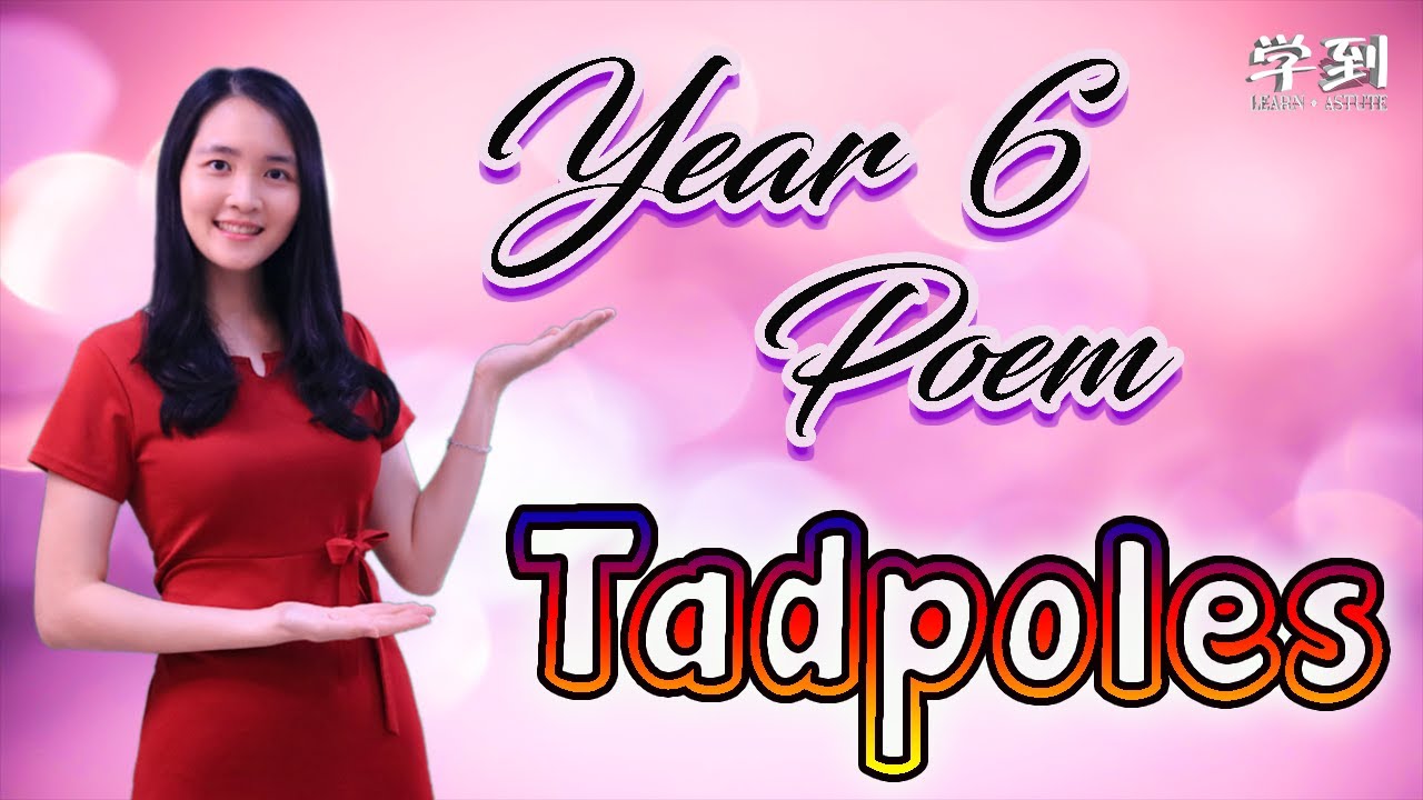 【ENGLISH YEAR 6】Poem: Tadpoles by Rose Fyleman【学到】 | THERESA