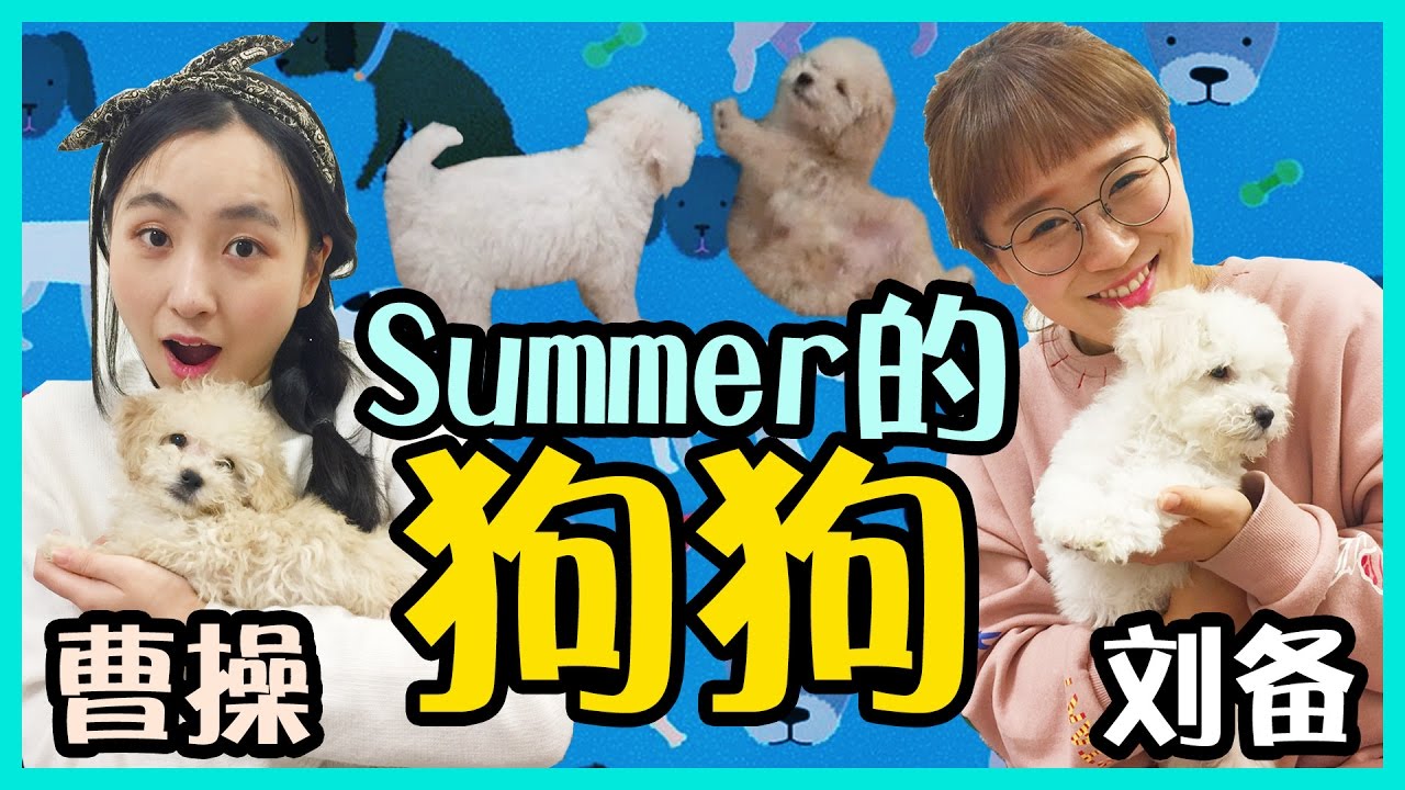 夏天狗狗優比和啾啾＆去便利店狂購！ | 小伶玩具 | Xiaoling toys