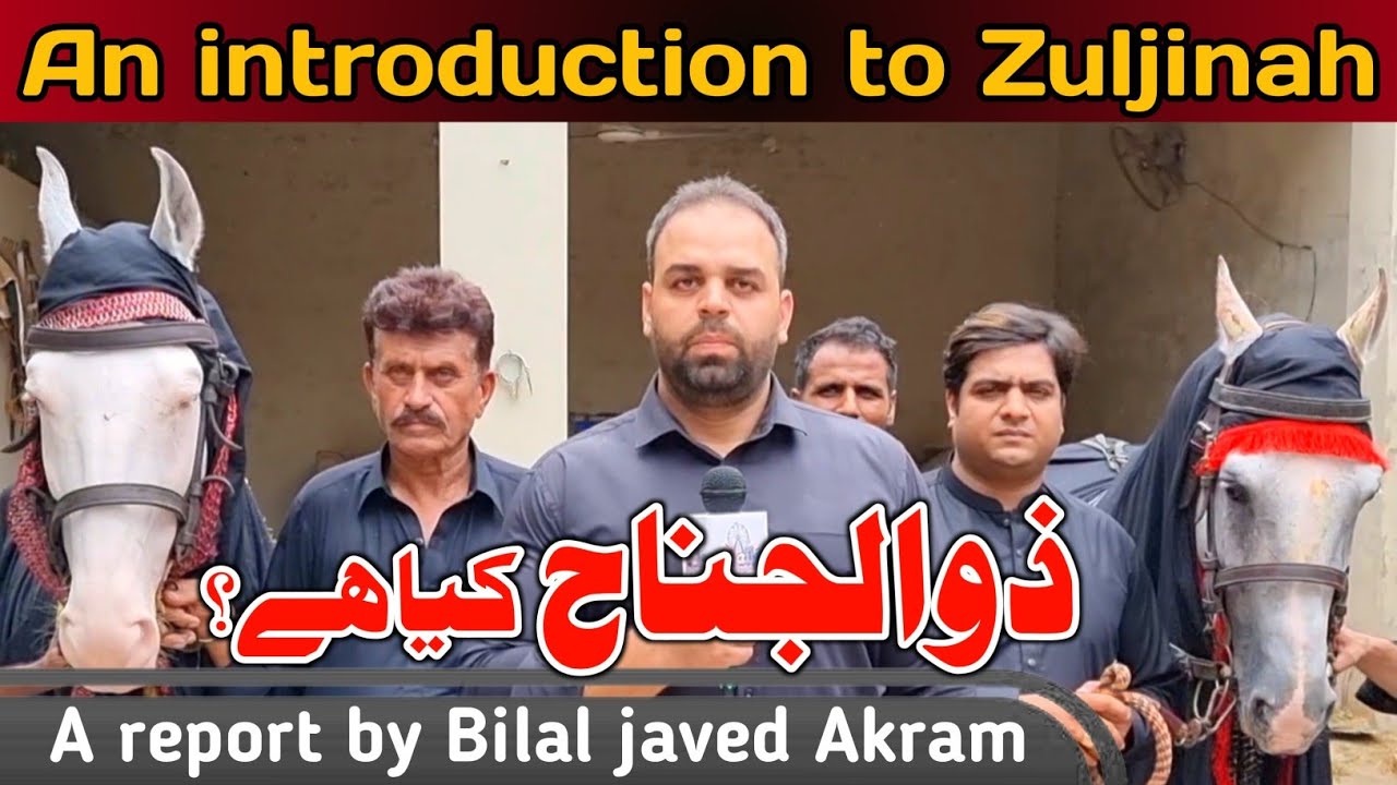 An introduction to Zuljinah |  Zuljanah kiya hy?  |  Malila tv
