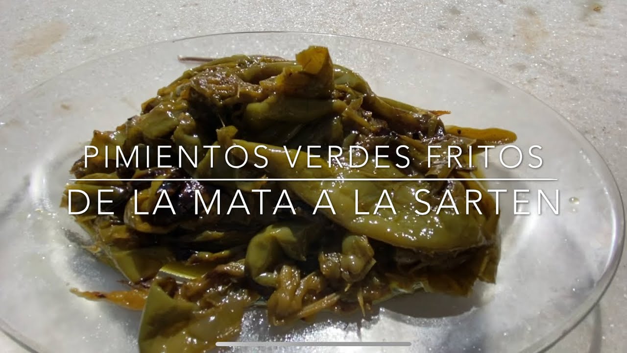 Pimientos verdes fritos. Simple y delicioso