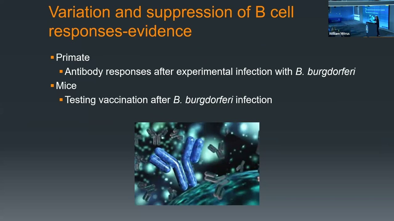 Bacterial Persistence and Immune Responses to Infection - Monica Embers PhD - Lyme Summit 2023