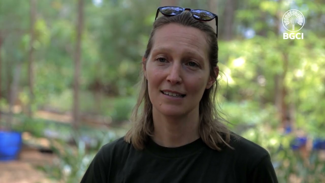 Kaya Connect- Restoring the Eastern Africa Coastal Forest Biodiversity Hotspot Documentary
