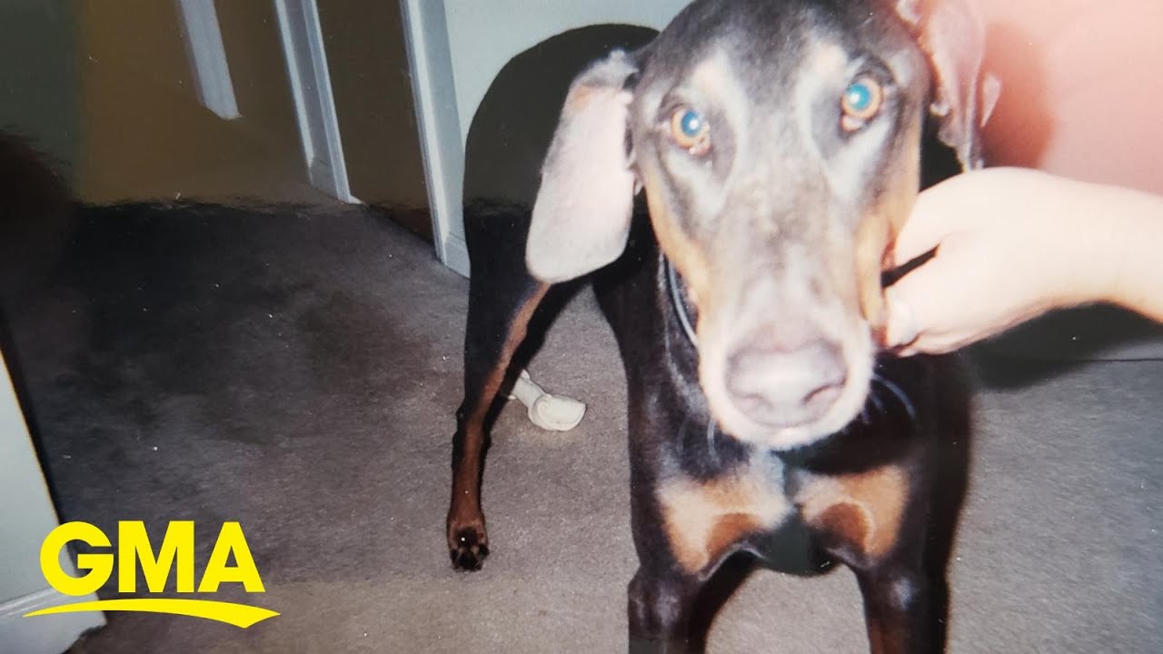Woman opens rescue home for senior dogs after father's death l GMA