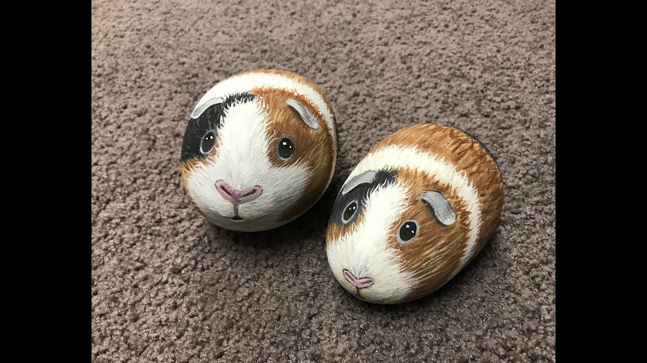 cavia op steen schilderen Guinea pig on stone