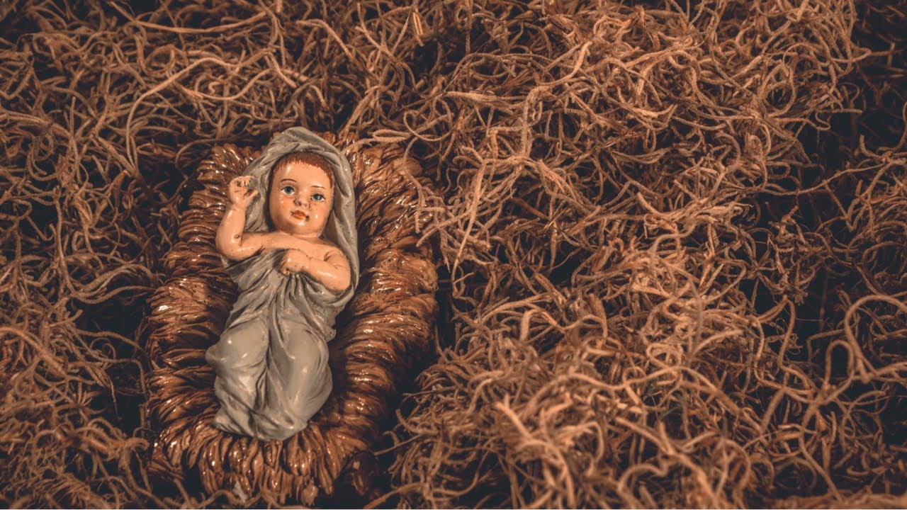 &lsquo;Very little&rsquo; can be done to stop &lsquo;woke&rsquo; Mosman Council from cancelling nativity scene