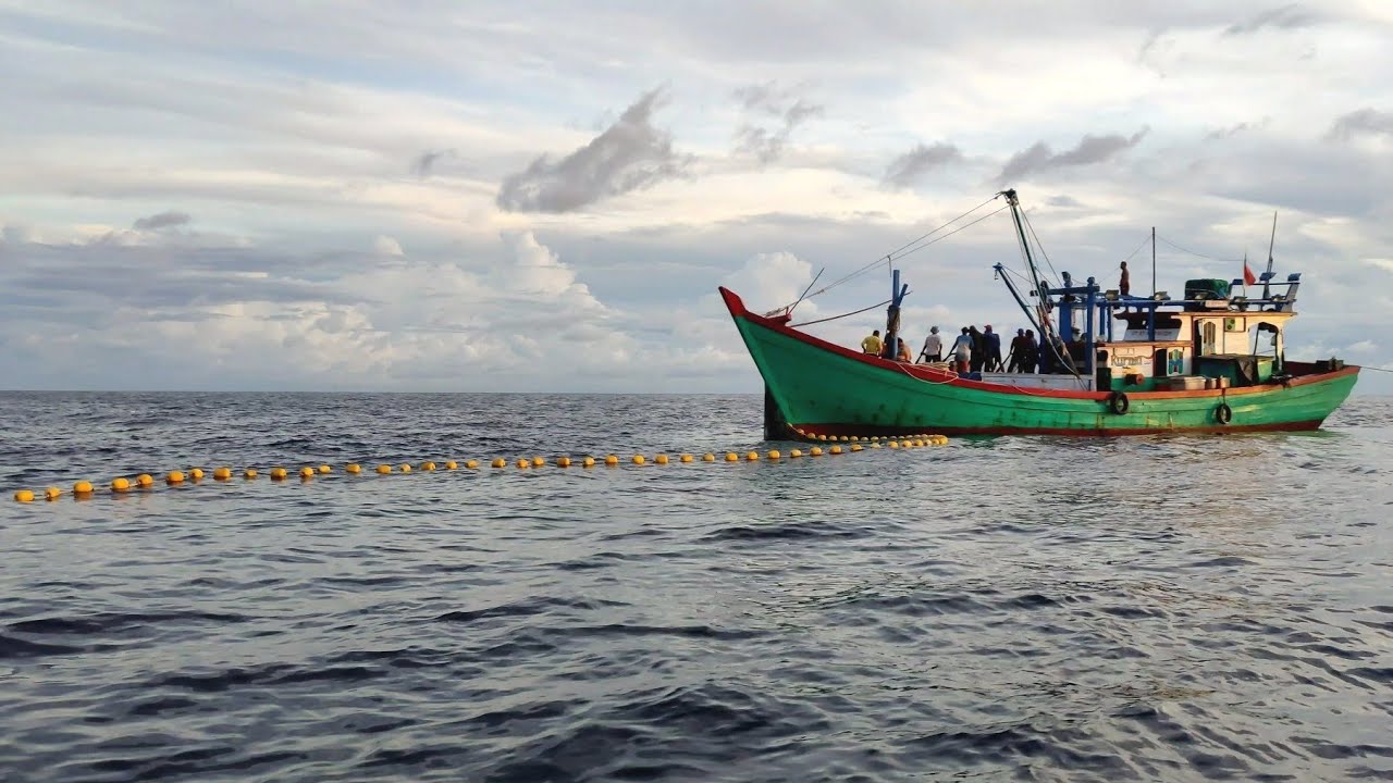 Pukat cincin, Nelayan Indonesia Dapat Banyak Ikan, luar biasa hasil tangkapan nelayan Indonesia