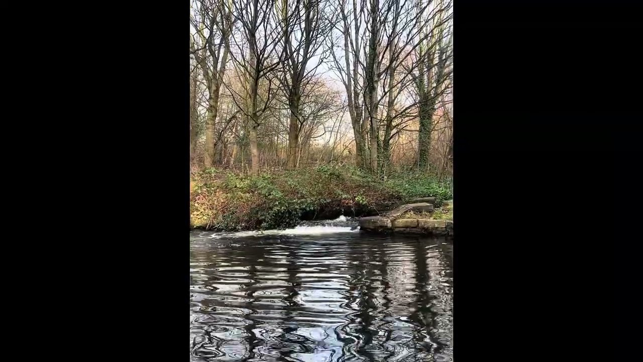 Manchester Canals Walk 💛 Nature Sounds & Stories