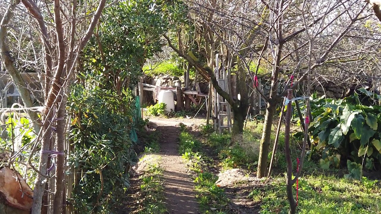 Les jardins de la Sagne | Gruissan