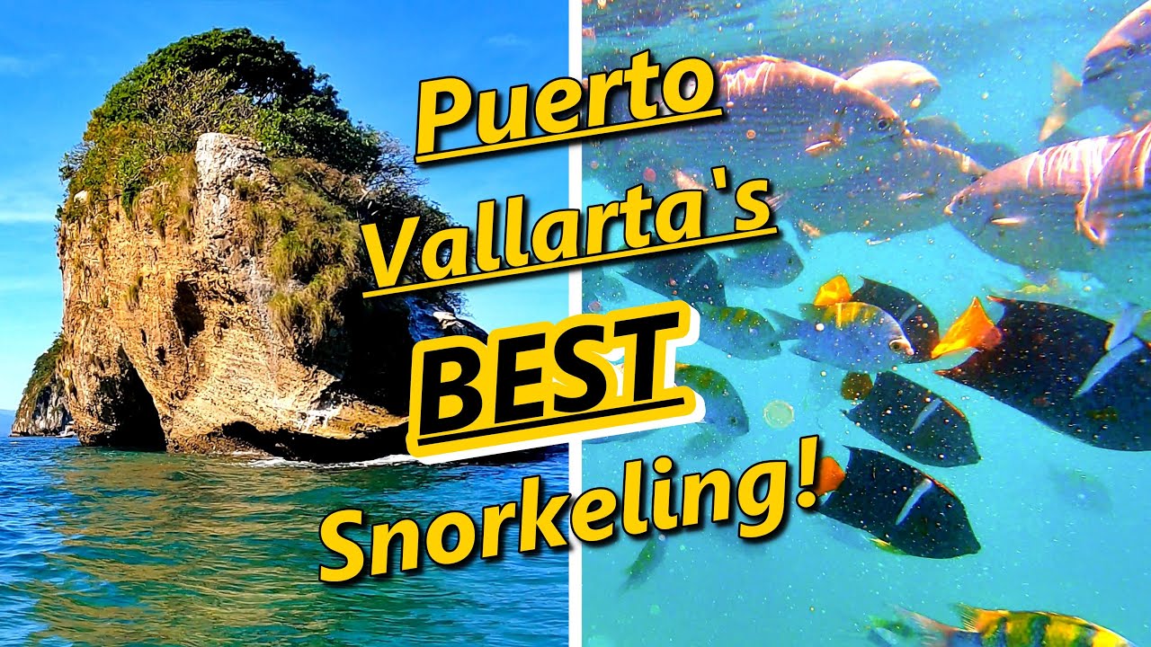 Puerto Vallarta's TOP Snorkeling Destination! Tips And Tricks For The BEST Experience at Los Arcos!