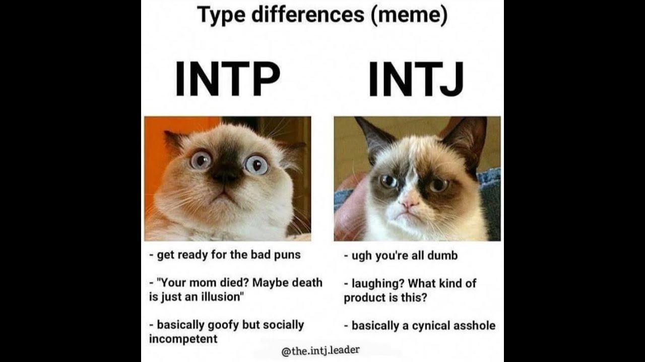 INTJ MEMES COMPILATION