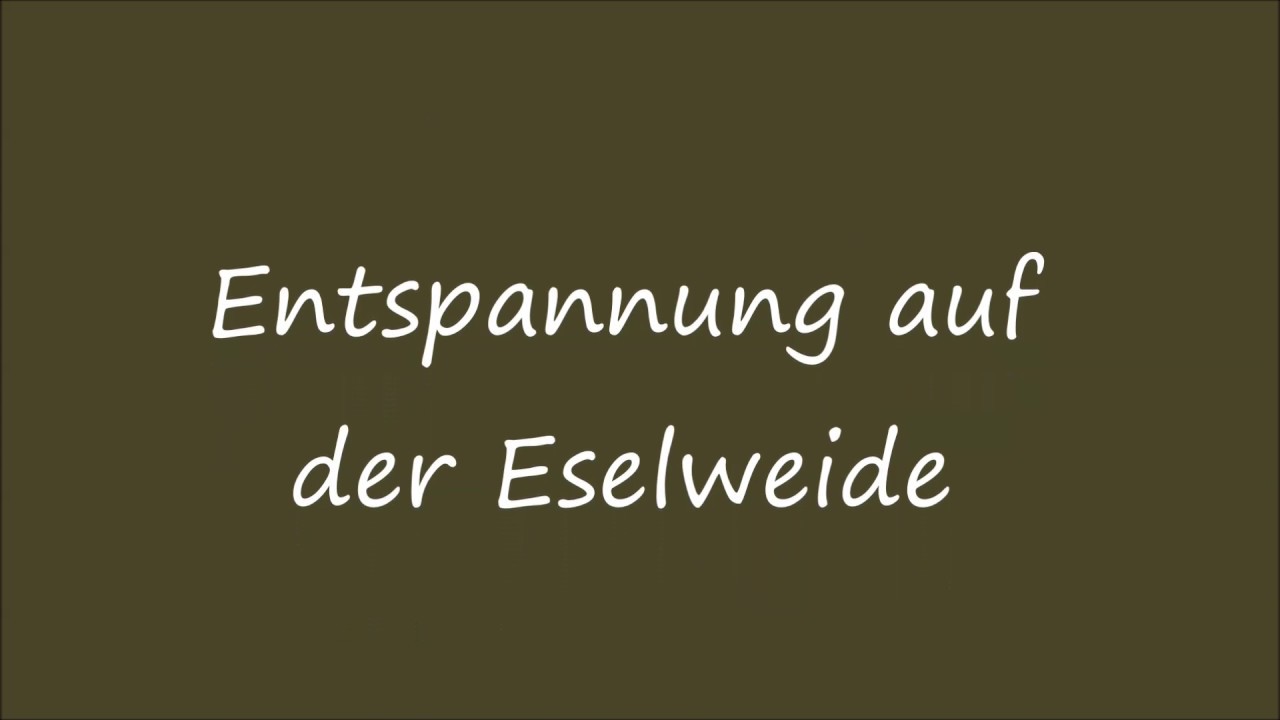Entspannung auf der Eselweide