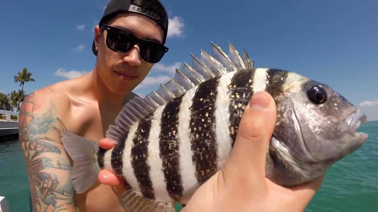 Sanibel Island, 2014