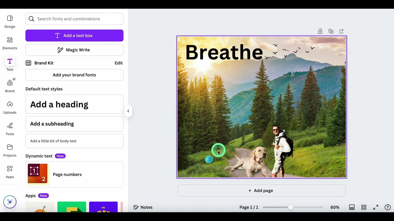 CANVA BASICS: Start Designing in Minutes! #canvatips #canvatutorial #canva