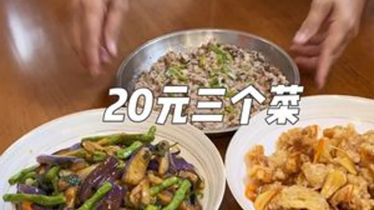 金姐用19.8元做的三个菜真的太好吃了#家常菜 #20元挑战 #婆媳生活