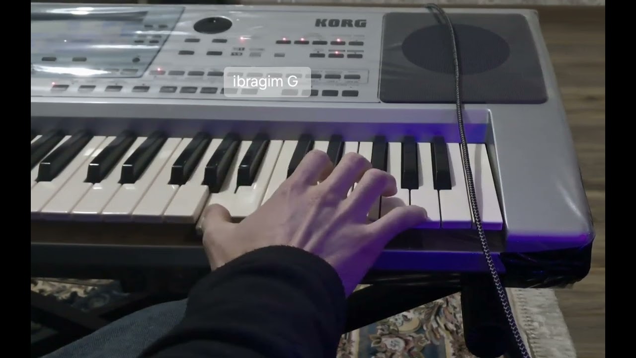 KORG PA 50 SD