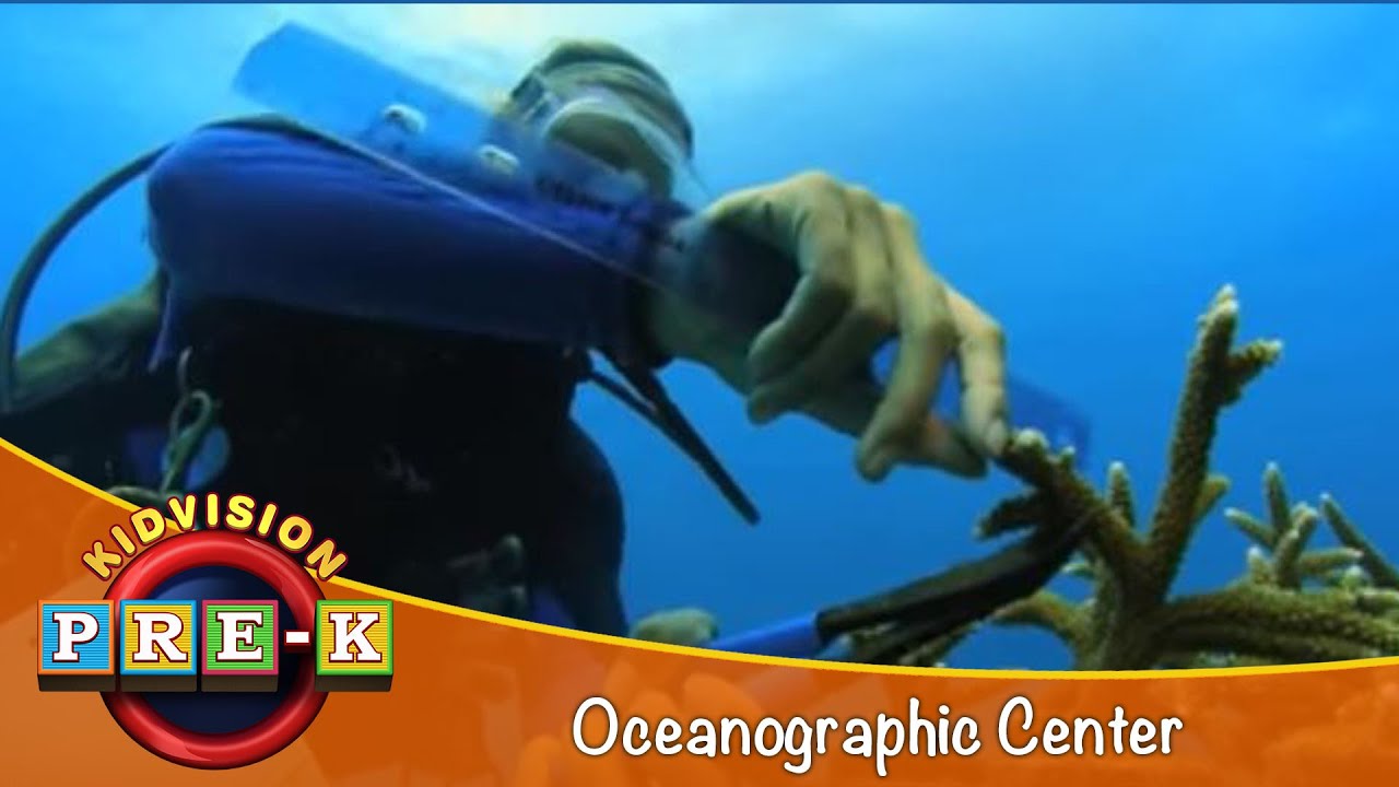 Oceanographic Center | Virtual Field Trip | KidVision Pre-K