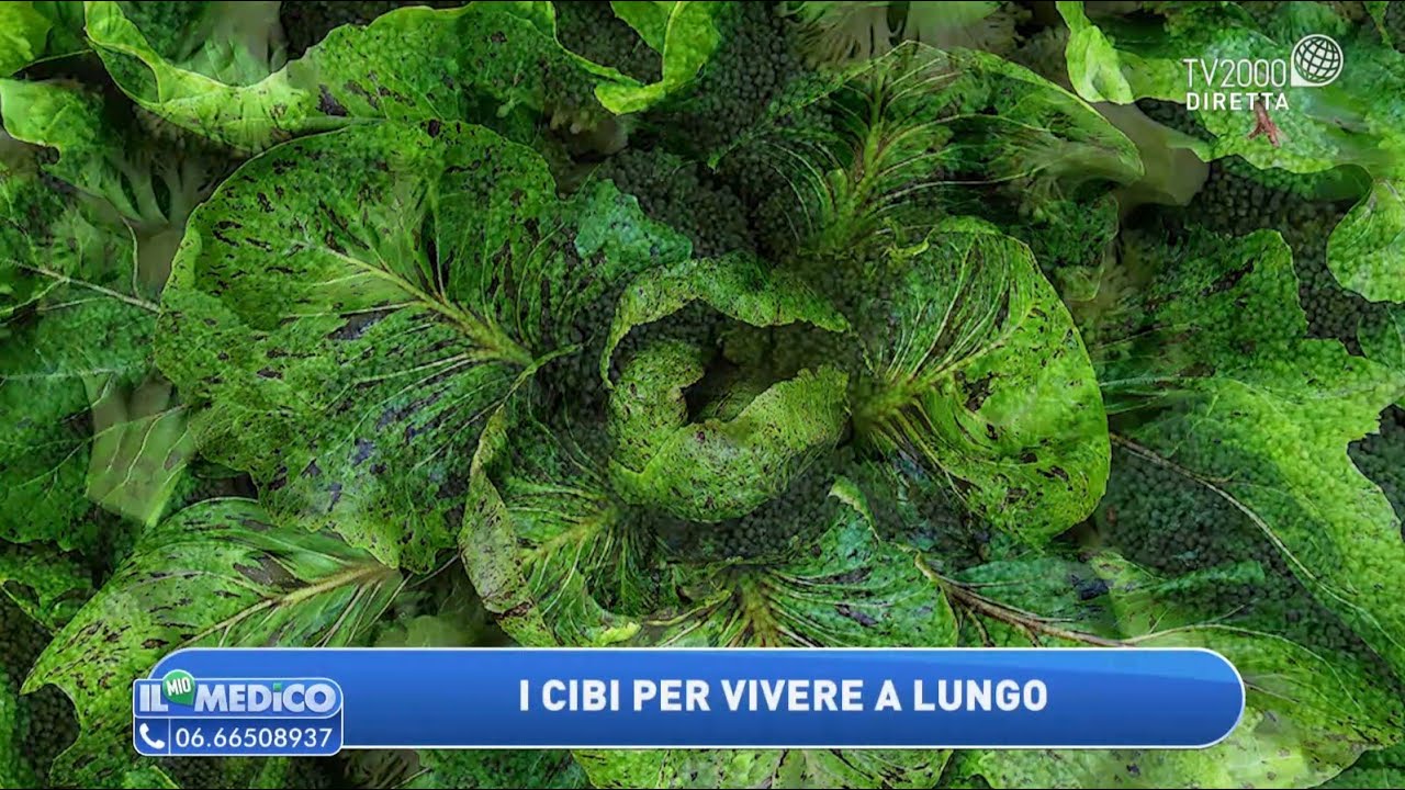 I cibi per vivere a lungo. I cibi che proteggono la salute