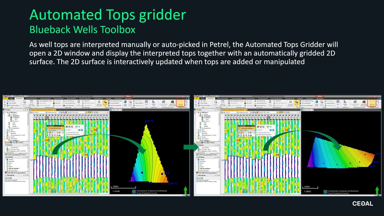 Blueback Wells Toolbox - Automated tops gridder