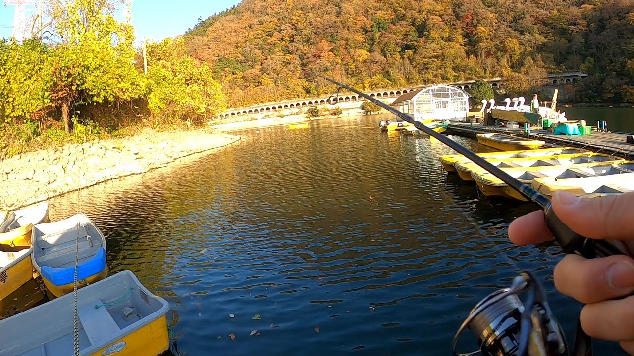 相模湖で桟橋釣りに挑戦！
