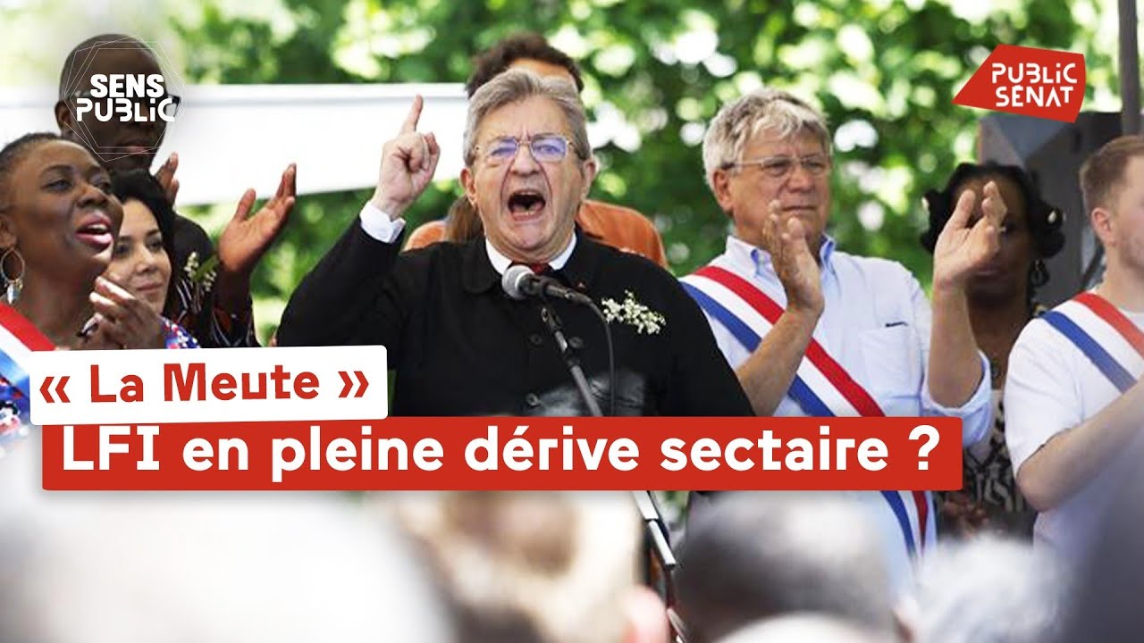 « La Meute » : LFI en pleine dérive sectaire ?
