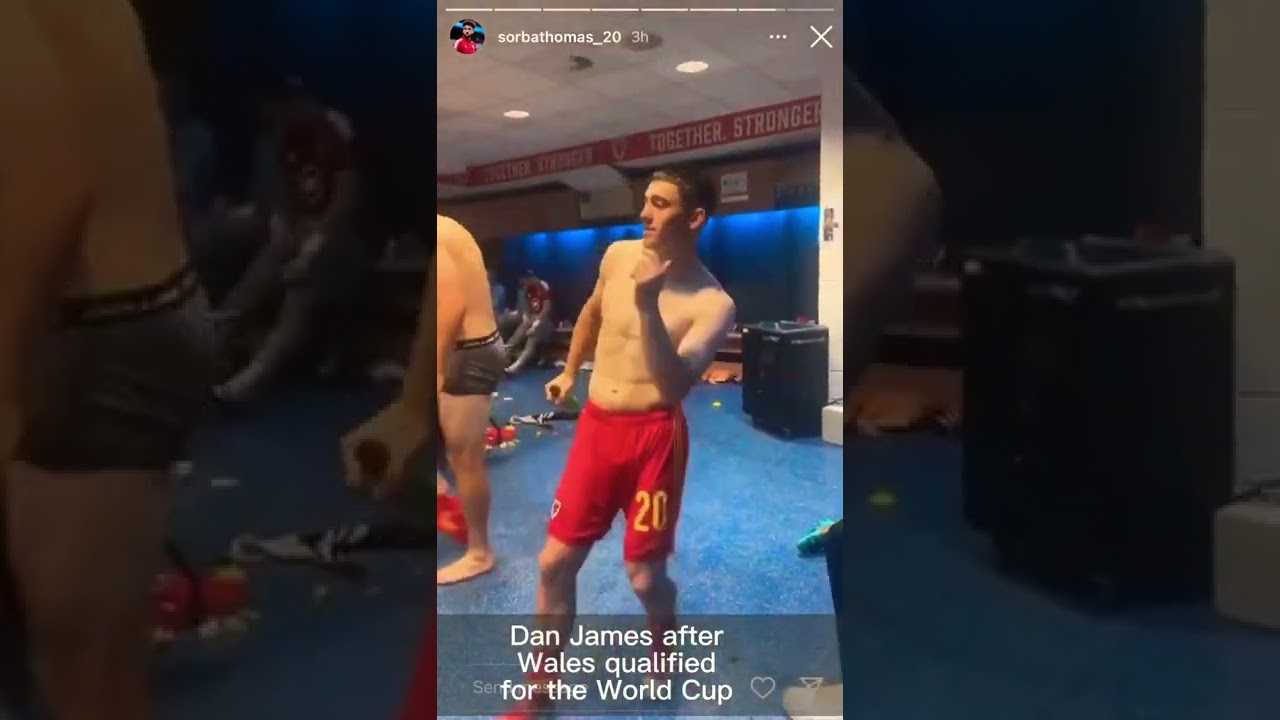 Dan James celebrating after Wales qualified for the World Cup