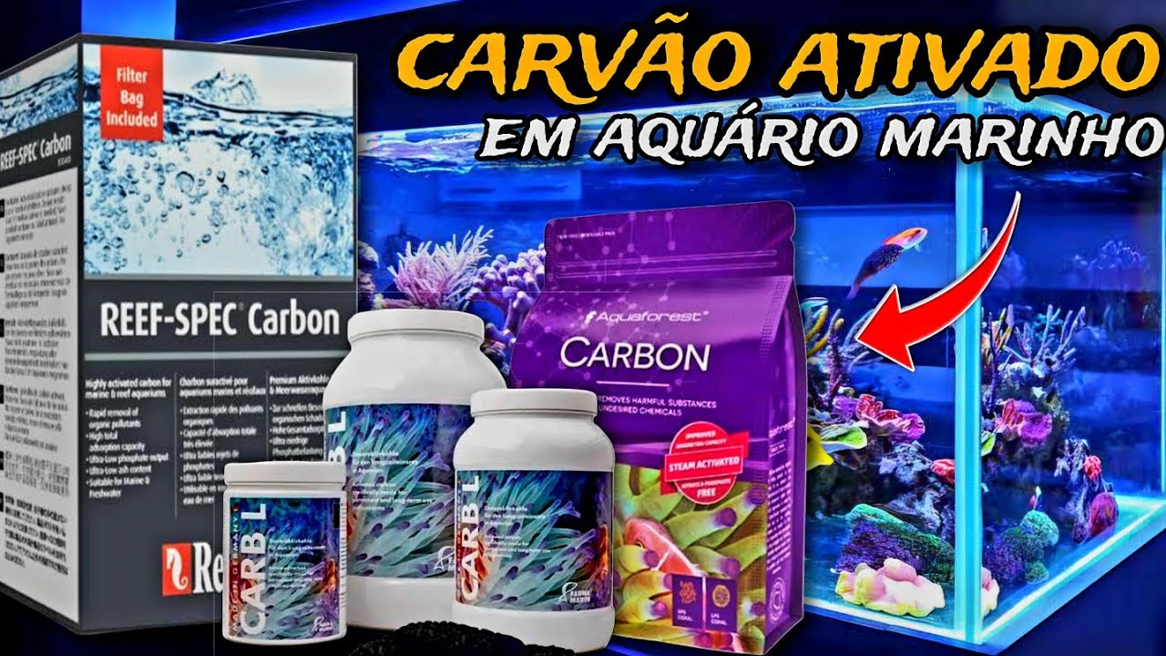 CARVÃO ATIVADO EM AQUÁRIO MARINHO - O QUE TODO INICIANTE PRECISA SABER!