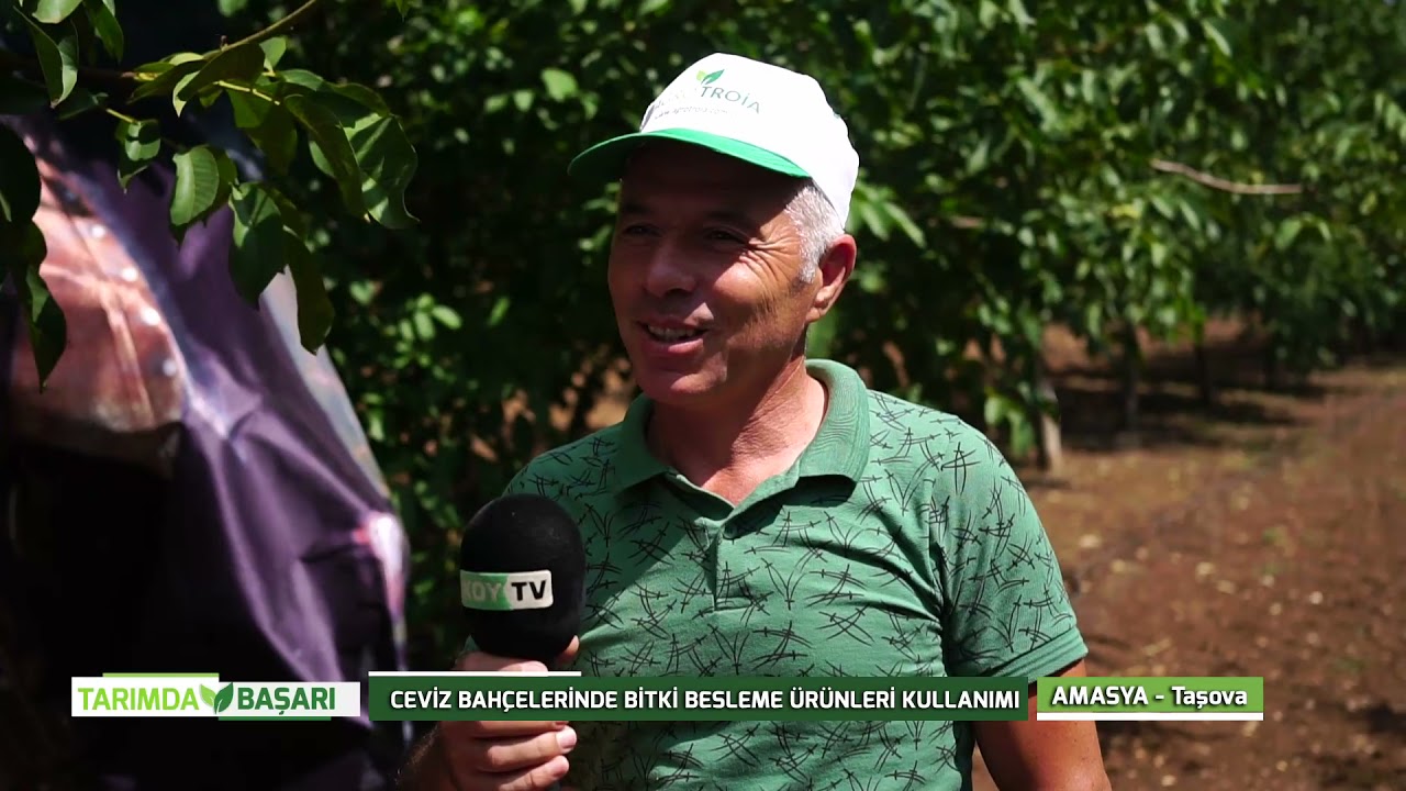 TARIMDA BASARI - CEVİZ BAHÇELERİNDE BİTKİ BESLEMENİN ÖNEMİ - AMASYA