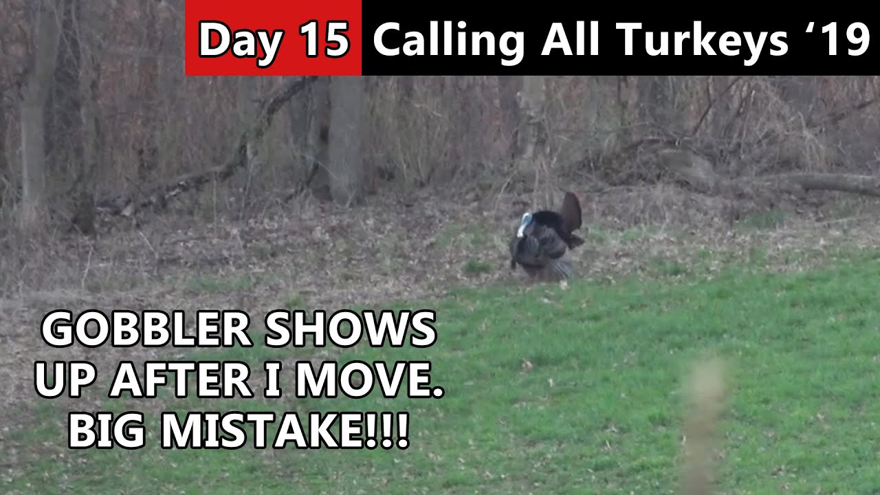 Iowa Gobbler Is Lucky I Moved! - Public Land Hunting - Calling All Turkeys