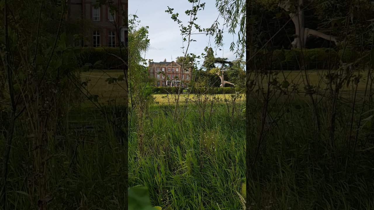 Ardington House private concert