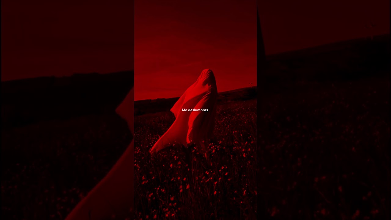 Impacto - Enjambre | lyrics | aesthetic | whatsapp Status | English songs | slowed | sped up #lyrics