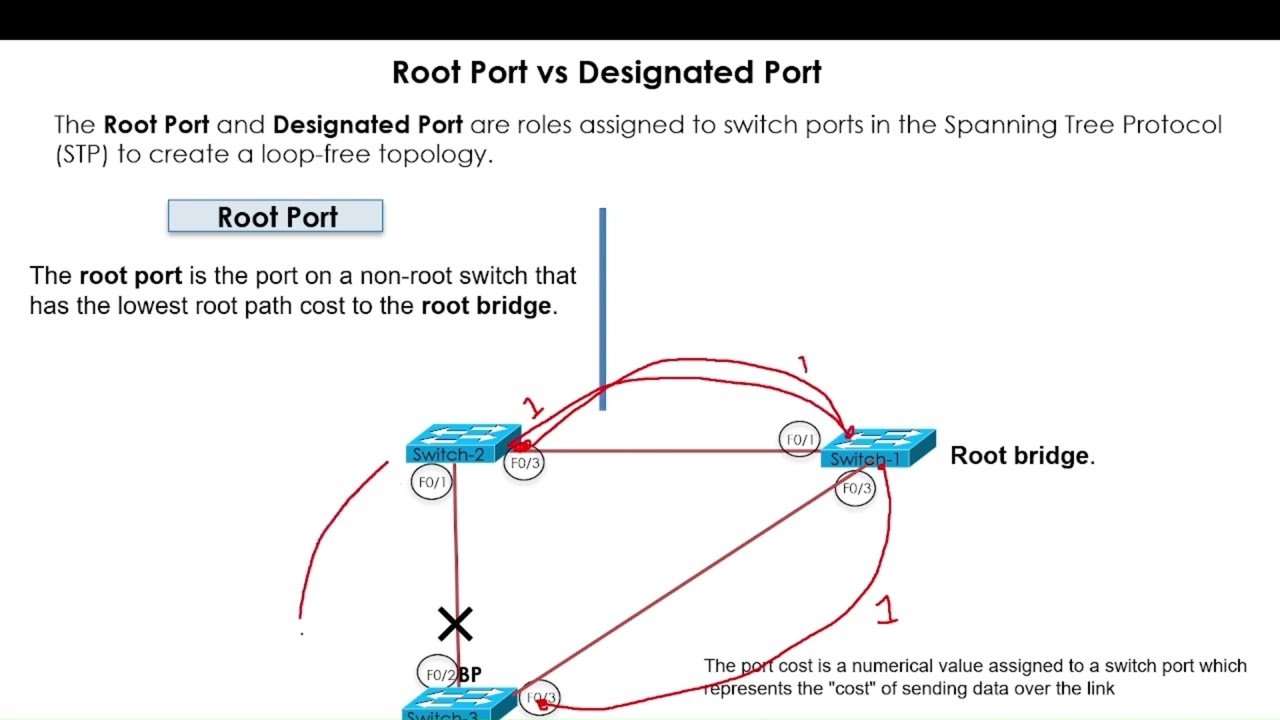 Root Port Vs Designated Port: What's The Real Difference?