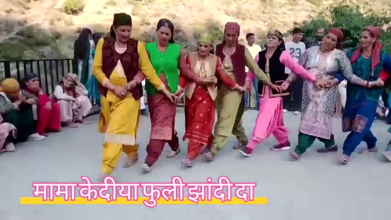 मामा केदीया फुली जादी दाईं रे पहाड़ी लांम के गित ❤