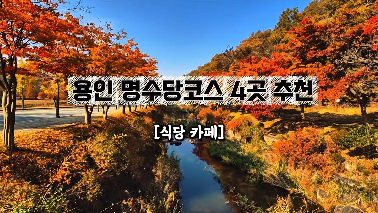 용인 한국외대 명수당 가을코스 4곳 추천 (식당,카페) 2025.11.07 촬영