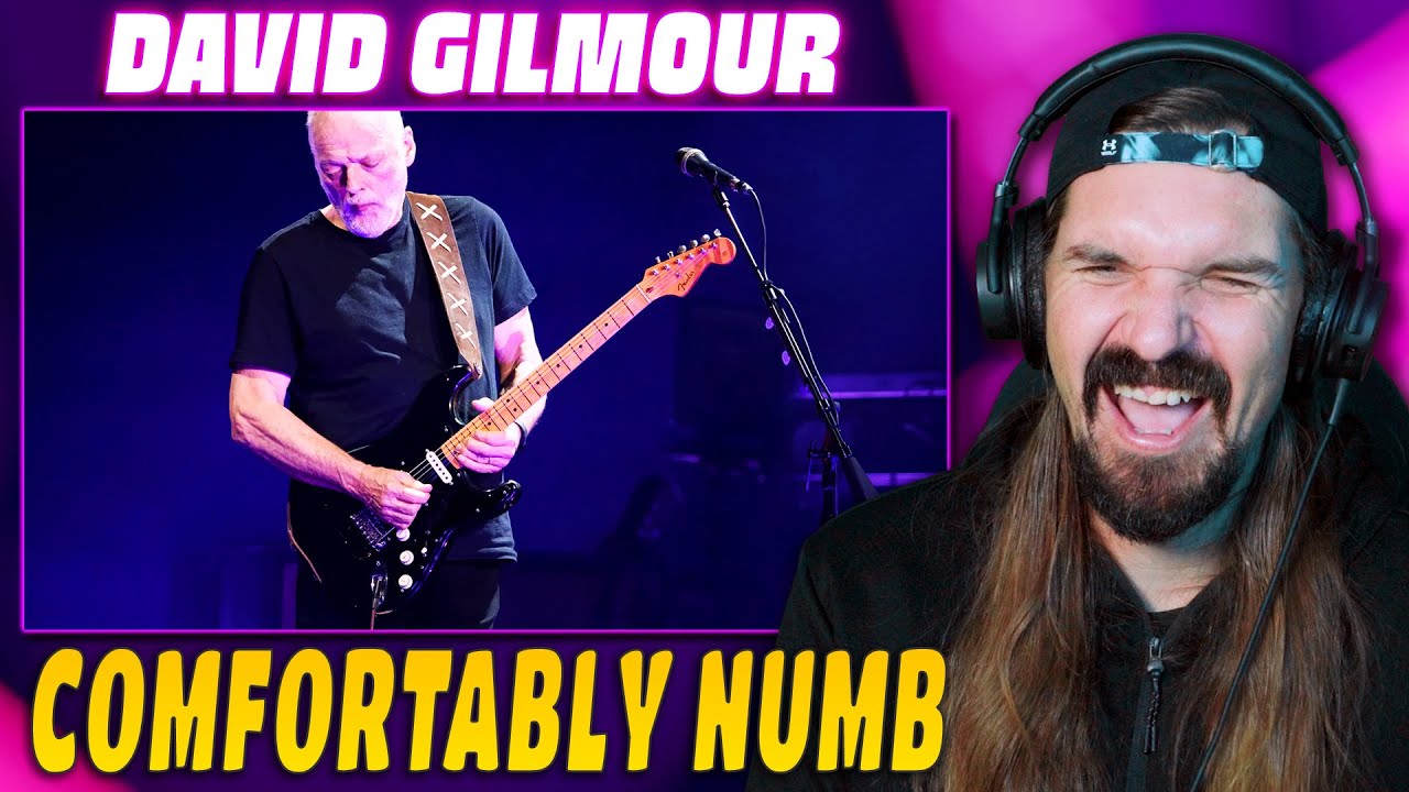 First Time Reaction || David Gilmour - Comfortably Numb Live in Pompeii 2016 || Drummer Reacts