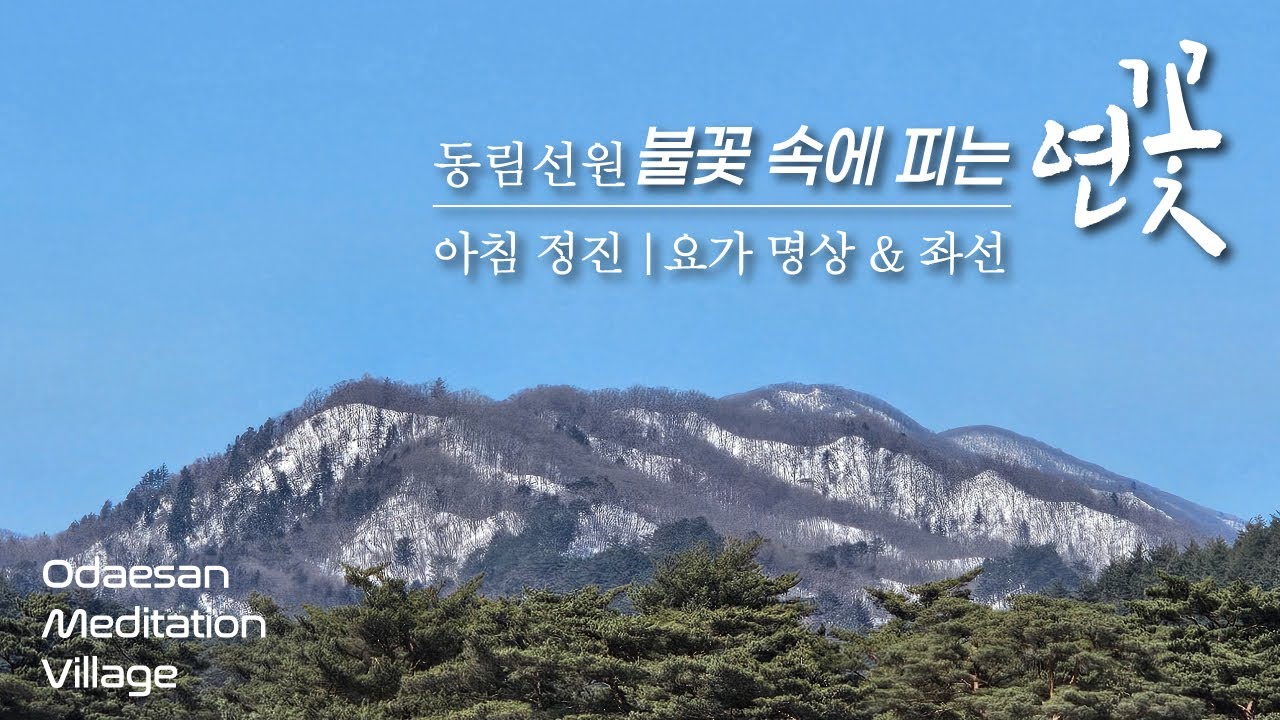 불꽃 속에 피는 연꽃 | 2026. 2. 10. (화) 아침 정진 | 동림선원 대중 스님과 함께하는 요가 명상 & 좌선 명상 | Meditation Daily Guided